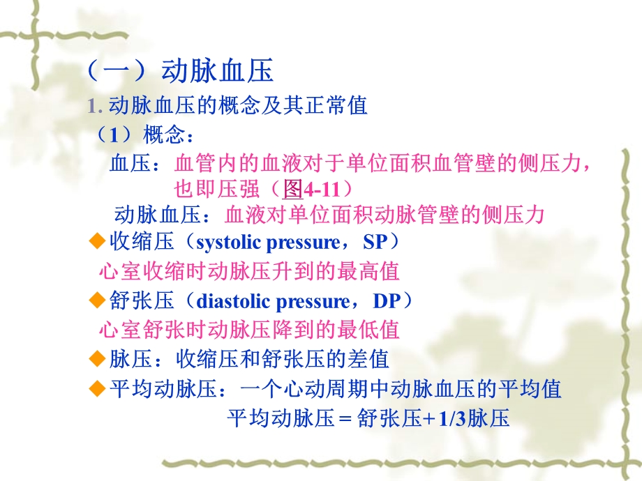 血管生理及心血管的调节.ppt_第2页