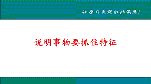 说明事物要抓住特征.ppt