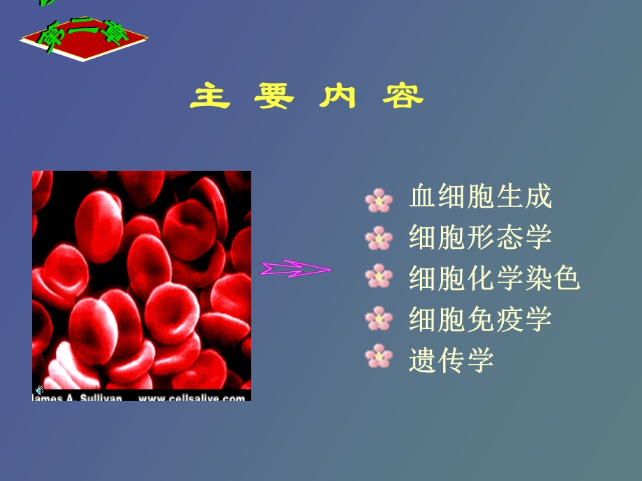 诊断学骨髓细胞学检测.ppt_第2页