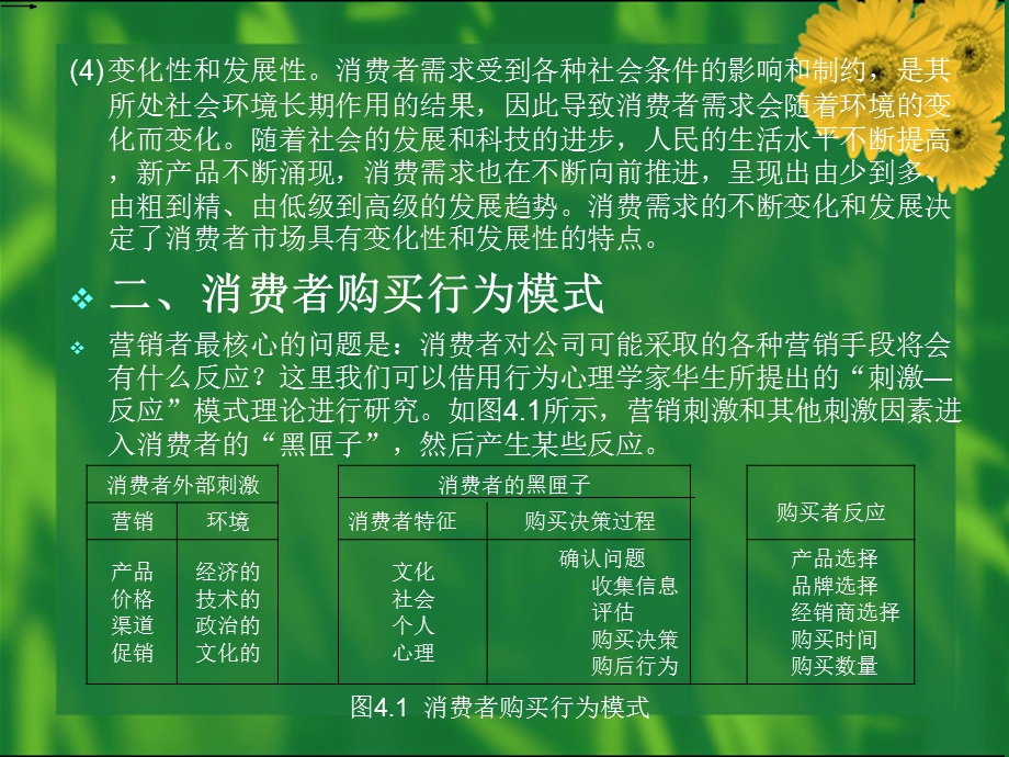 《现代市场营销学》第四章：消费者购买行为分析.ppt_第3页