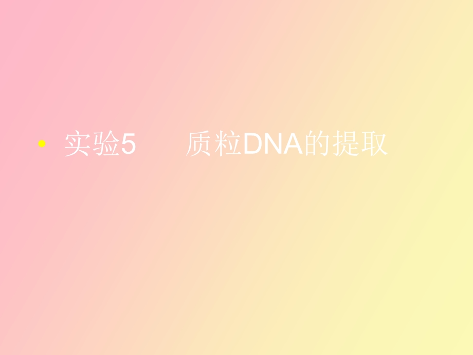 质粒DNA的提取酶切及浓度检测.ppt_第1页