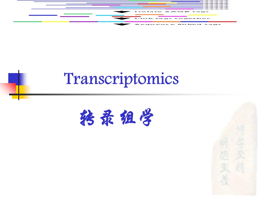 转录组学transcriptomicswxj.ppt_第1页