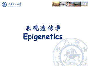 《医学遗传与胚胎发育》ppt15表观遗传.ppt