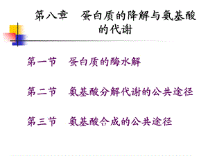 蛋白质的降解与氨基酸的代谢江大食品生化.ppt