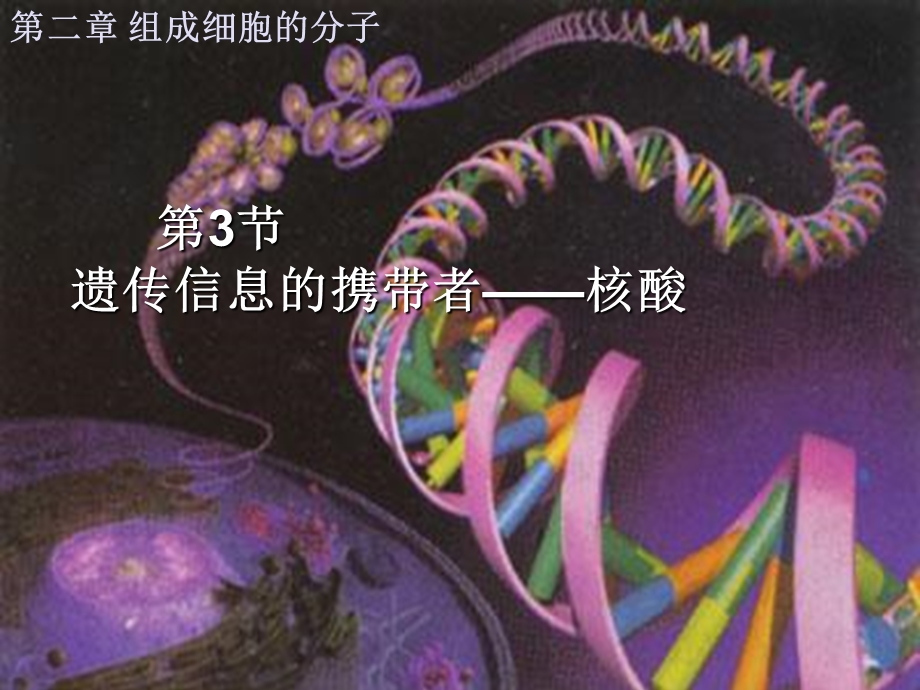 遗传信息的携带者核酸课件.ppt_第2页