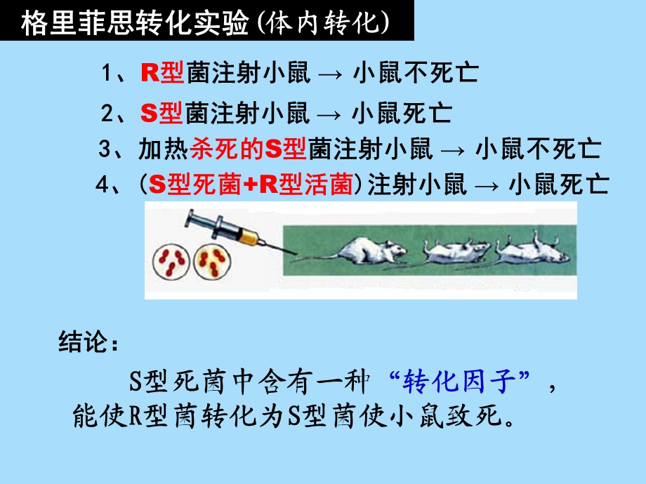 遗传物质的基础.ppt_第3页