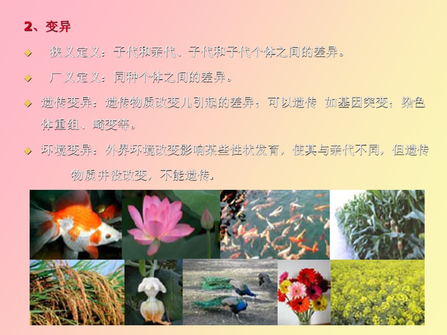 遗传学的概念和研究内容.ppt_第3页