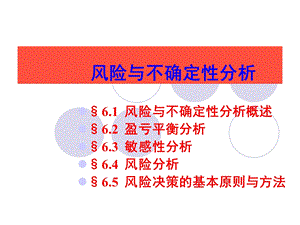 风险与不确定性分析.ppt