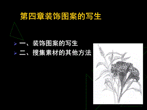 装饰图案的写生二搜集素材的其他方法.ppt