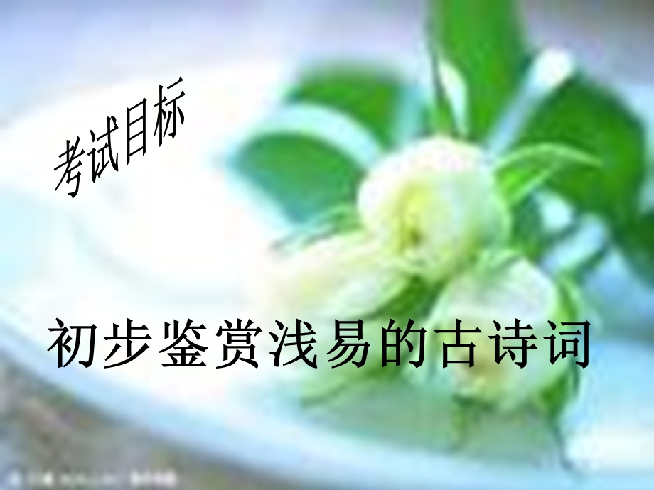 中考古诗词赏析(正式)w.ppt_第2页