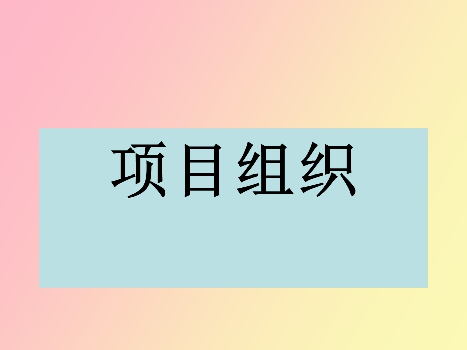 项目组织类型.ppt_第1页