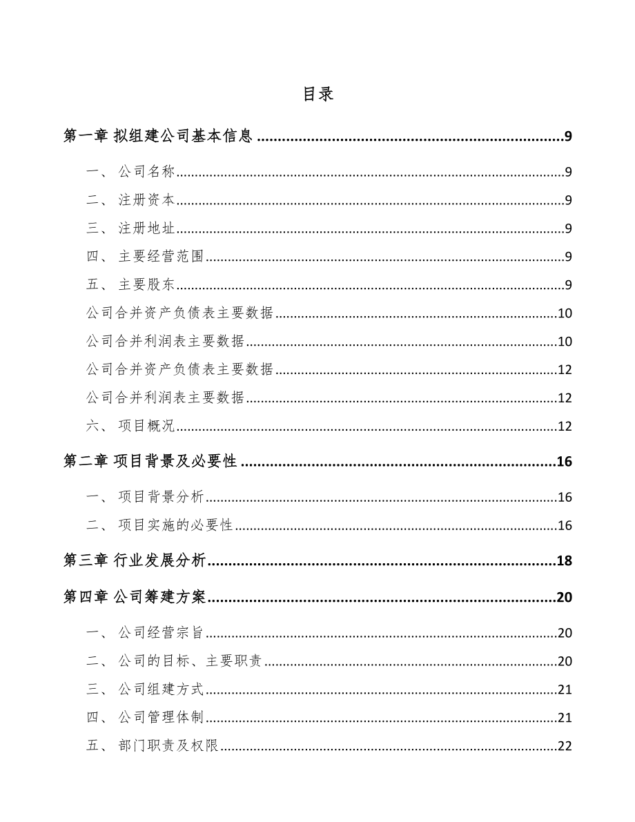 四川关于成立铜棒公司可行性研究报告范文模板.docx_第2页