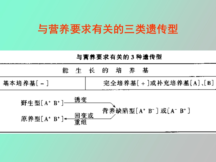 营养缺陷菌株筛选.ppt_第2页