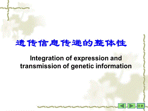 遗传信息传递的整体性讲.ppt