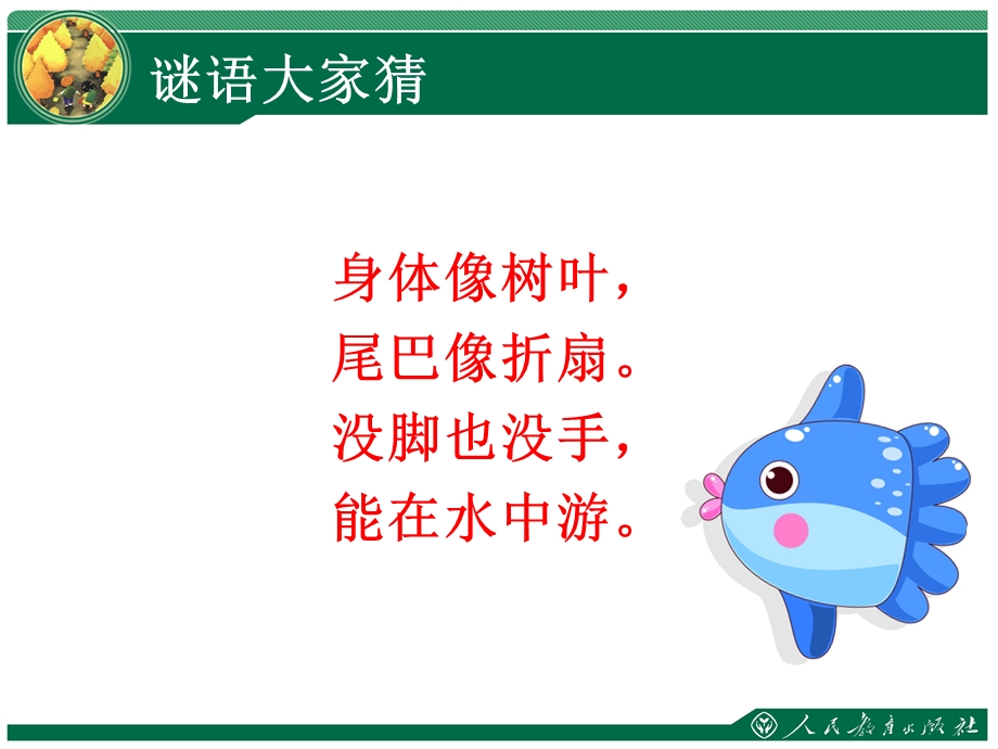 鱼儿游游一年级美术.ppt_第2页