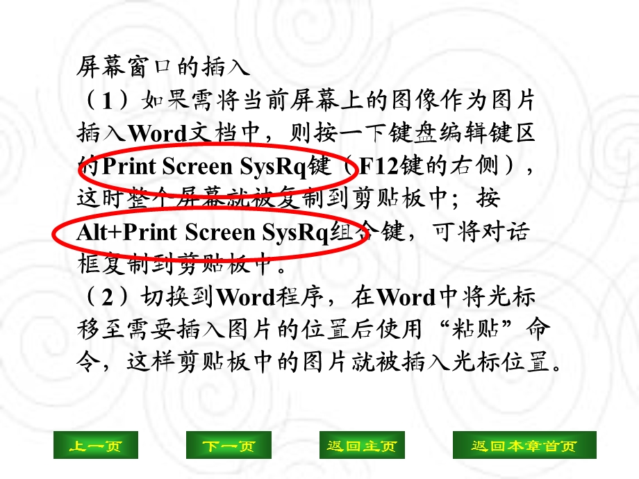 中文文字处理软件Word.ppt_第3页