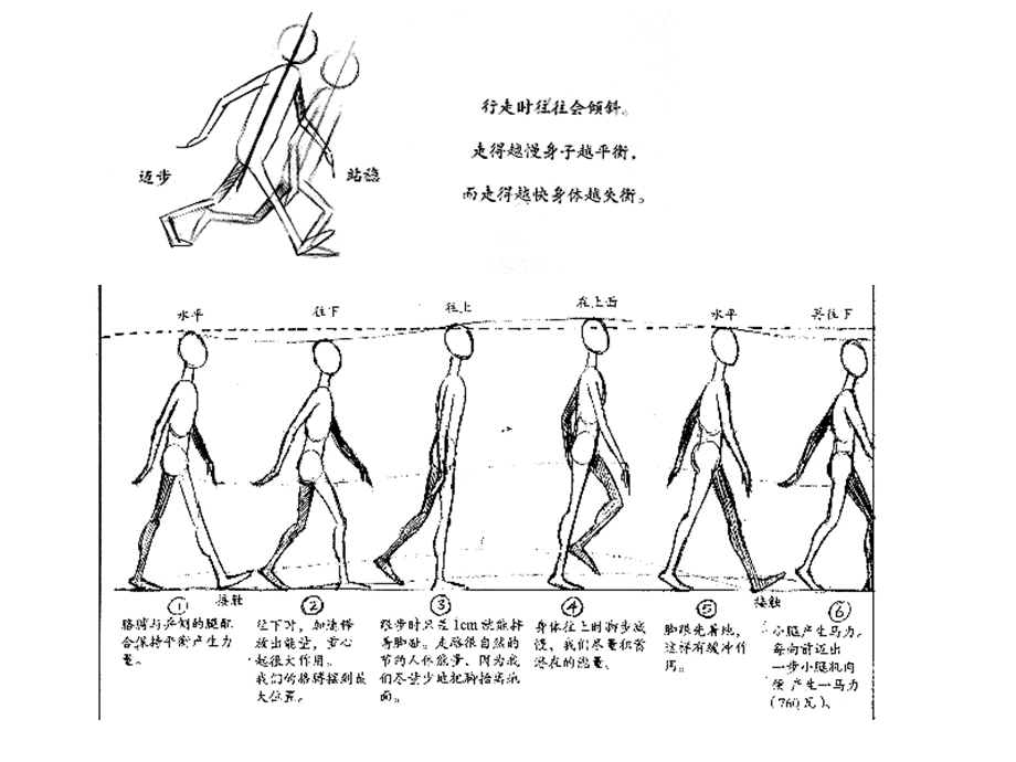 规律动画运动规律走路规律走路动画原画.ppt_第2页