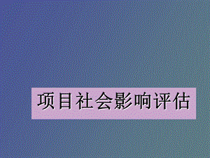 项目社会影响评估.ppt