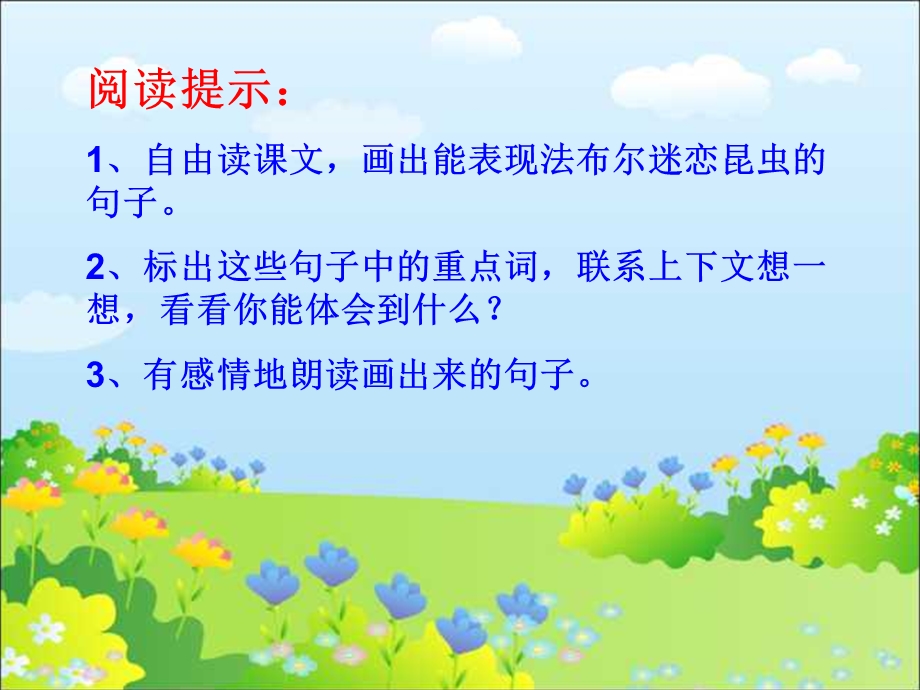 装满昆虫的口袋课件.ppt_第3页