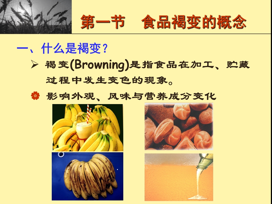 食品的褐变基础知识.ppt_第2页