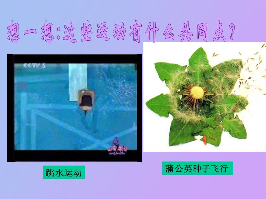 运动和能的形式上.ppt_第2页