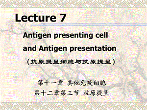 《医学免疫学教学课件》07apca.ppt