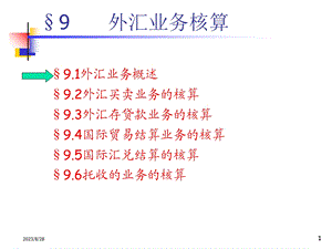 银行会计C9外汇业务核算.ppt