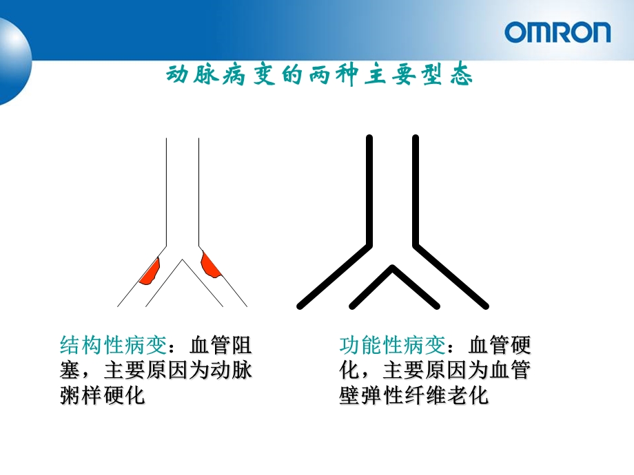 重要脉搏波传导速度PWV.ppt_第3页