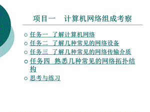 项目一计算机网络组成考察.ppt