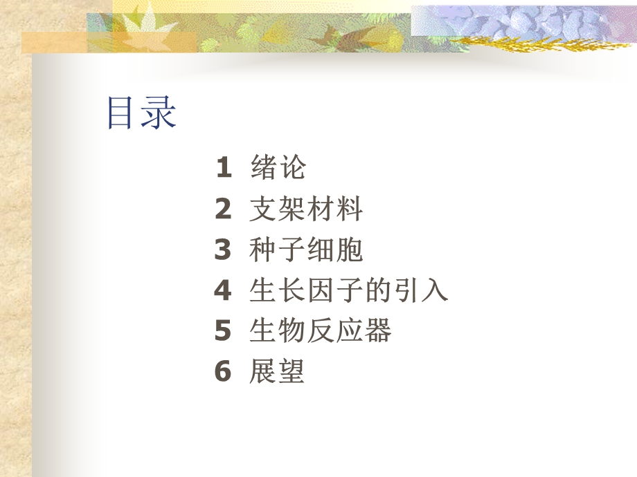 血管组织工程.ppt_第2页