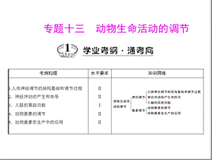 专题十三考点人体神经调节的结构基础和调节过程.ppt