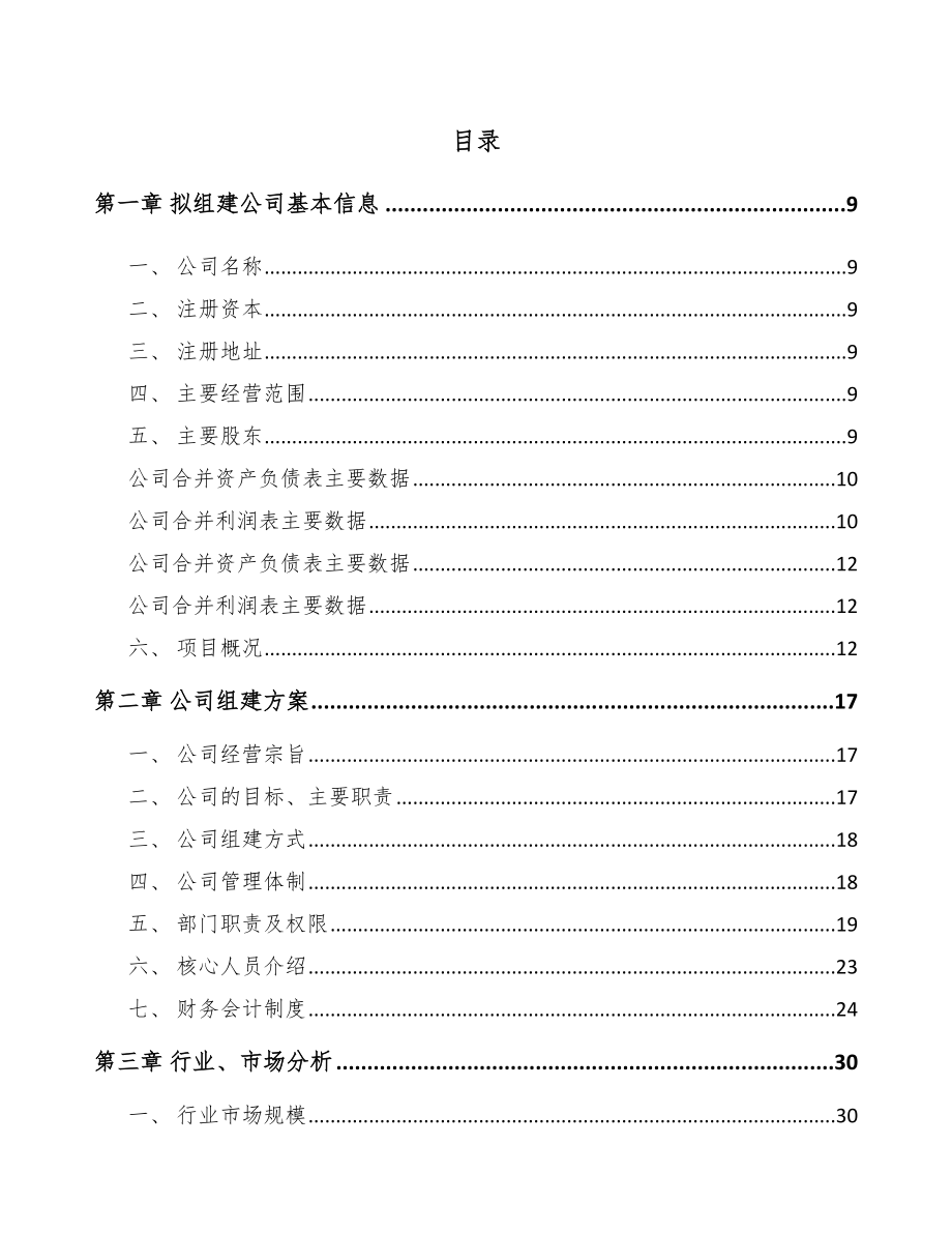 四平关于成立导航设备公司可行性研究报告.docx_第2页