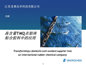 高含量TMQ在胎体粘合胶料中的使用.ppt