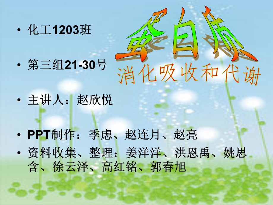 蛋白质的消化吸收.ppt_第1页