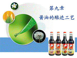 酱油的酿造工艺.ppt