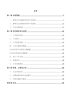 四川电声产品项目可行性研究报告.docx