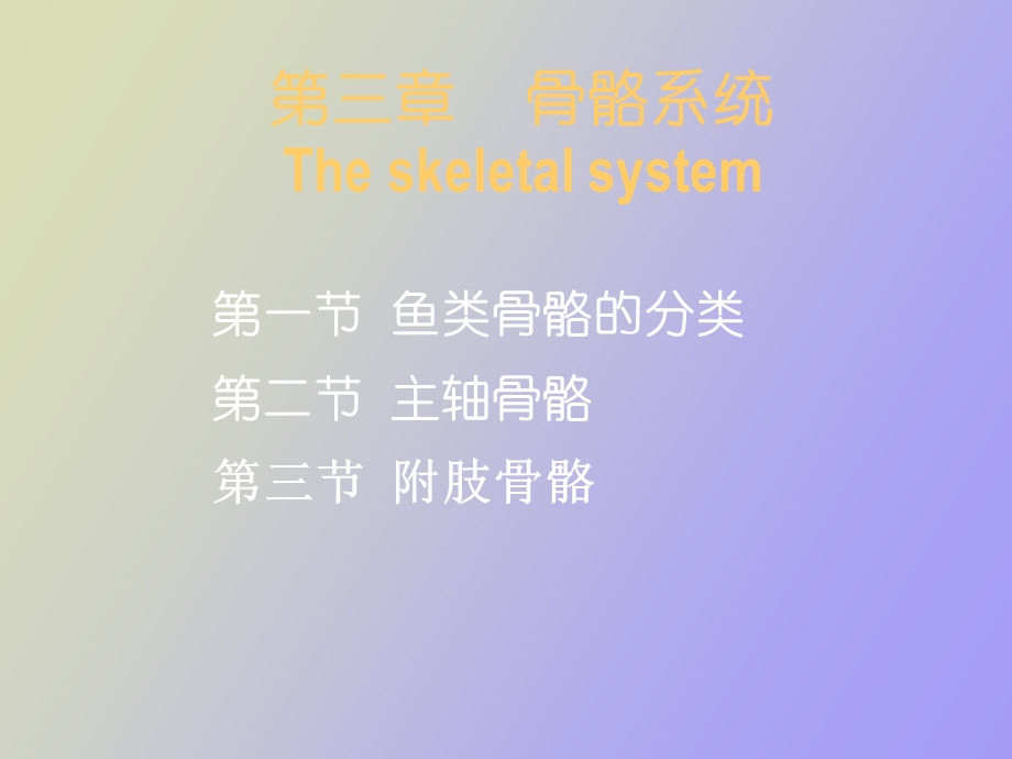 鱼类学骨骼系统.ppt_第1页