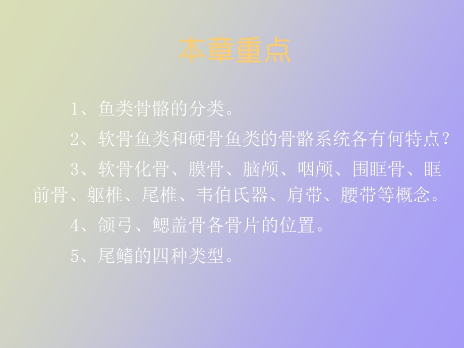 鱼类学骨骼系统.ppt_第2页