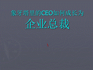 CEO如何成长为企业总裁.ppt