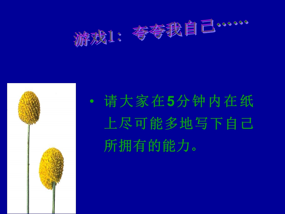 个人职业技能探索.ppt_第2页