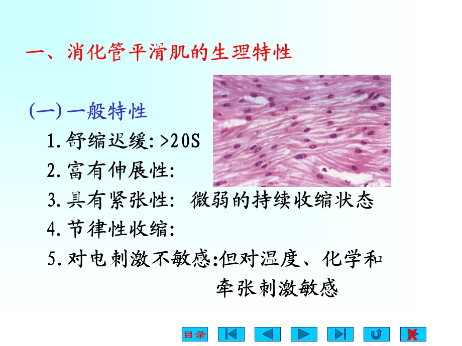 生理学 第六章 消化与吸收.ppt_第3页