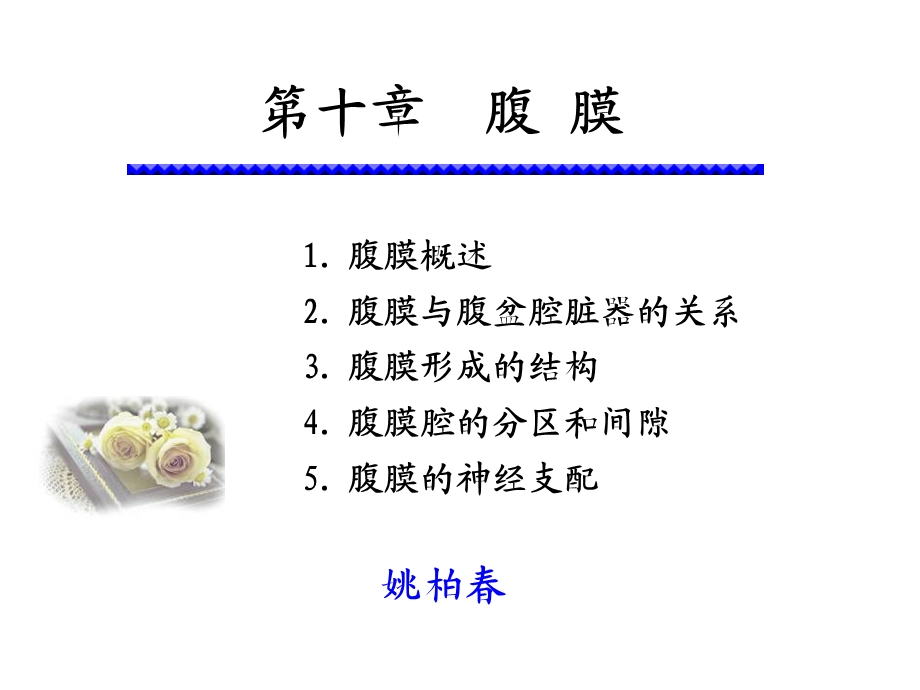 《系统解剖学》教学资料腹膜.ppt_第1页