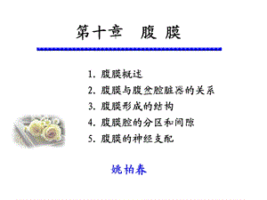 《系统解剖学》教学资料腹膜.ppt