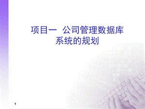 项目一公司管理数据库系统的规划.ppt