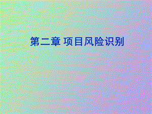 项目风险识别.ppt