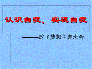 主题班会课件：放飞梦想主题班会.ppt