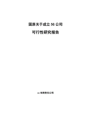 固原关于成立5G公司可行性研究报告.docx