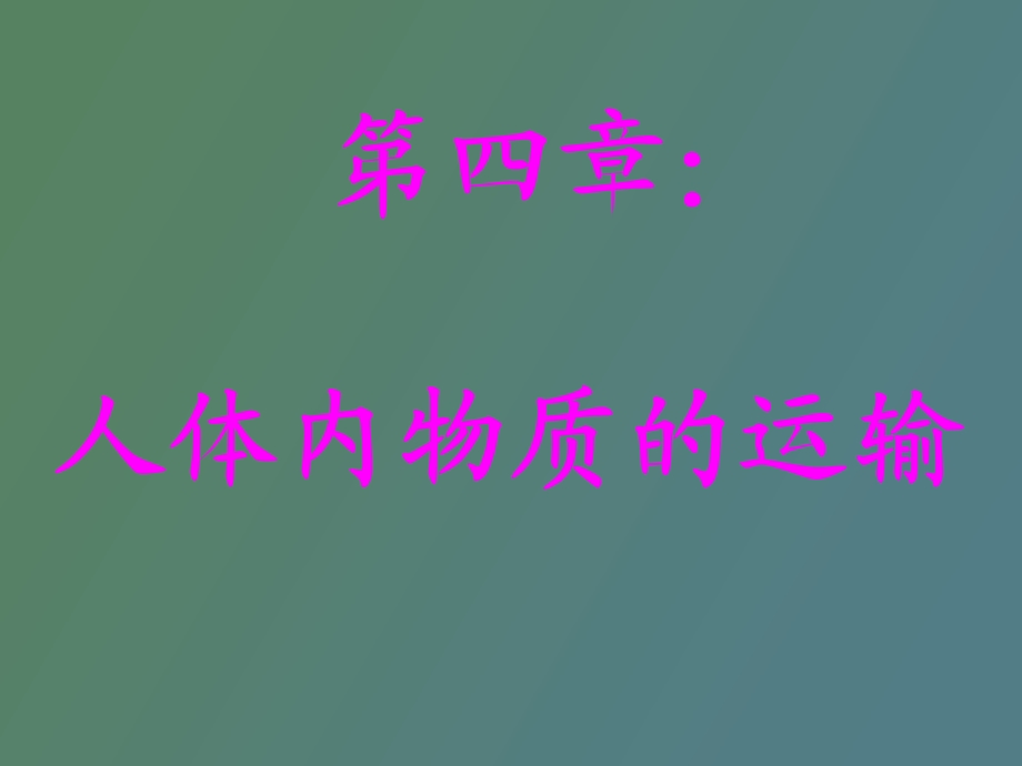 血液流通的管道.ppt_第1页