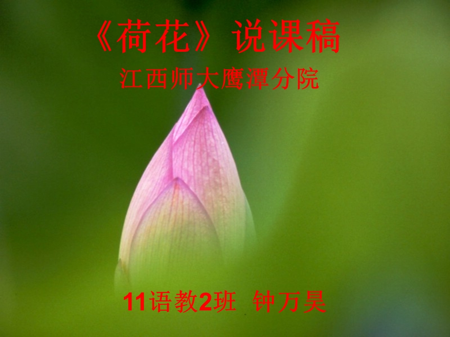 说《荷花》说课稿的PPT.ppt_第1页