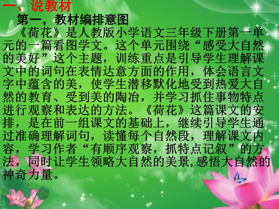 说《荷花》说课稿的PPT.ppt_第3页